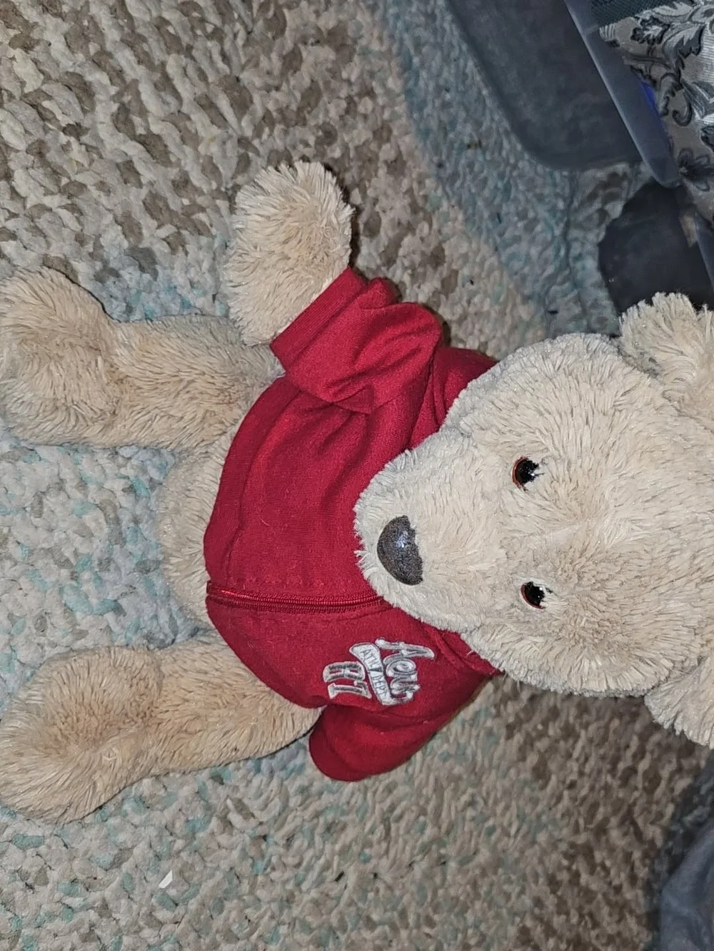 Plush Teddy Bear in Beige with Red Hoodie - Kids Toy